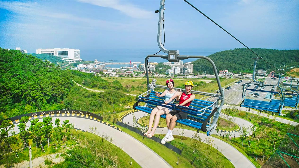 Skyline Luge 斜坡滑車